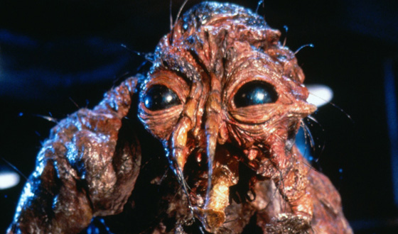 derek jeter kuvia. jeff goldblum the fly