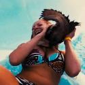 Piranha 3DD