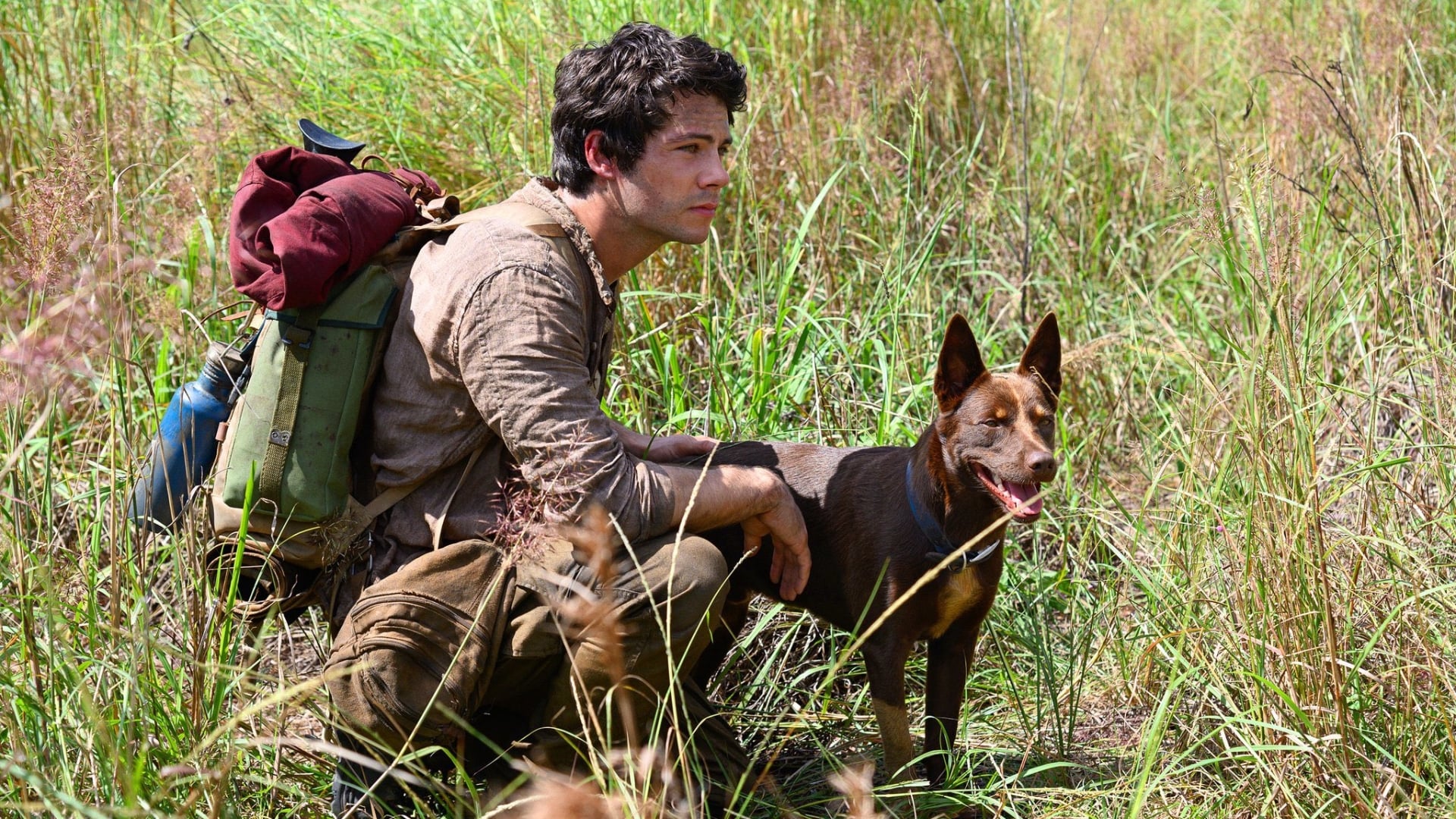 Screenshot from the film Love and Monsters. A young man with survival gear kneels in the tall grass with a brown dog. 