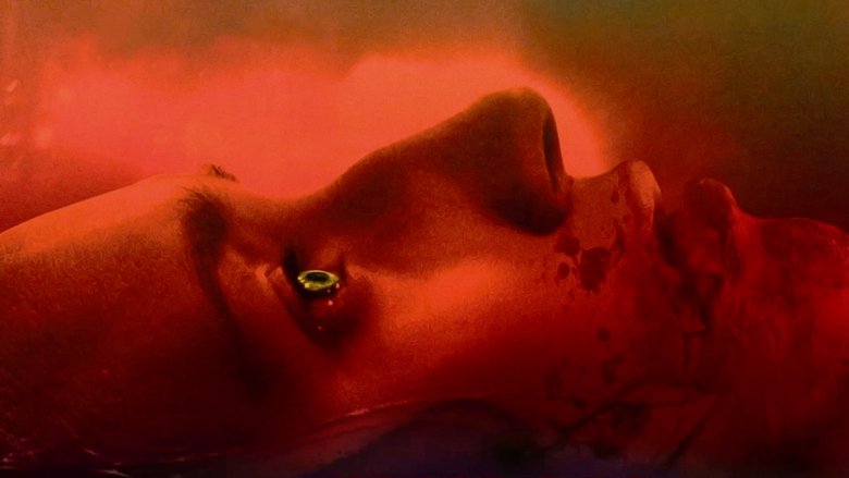 When Animals Dream When Animals Dream