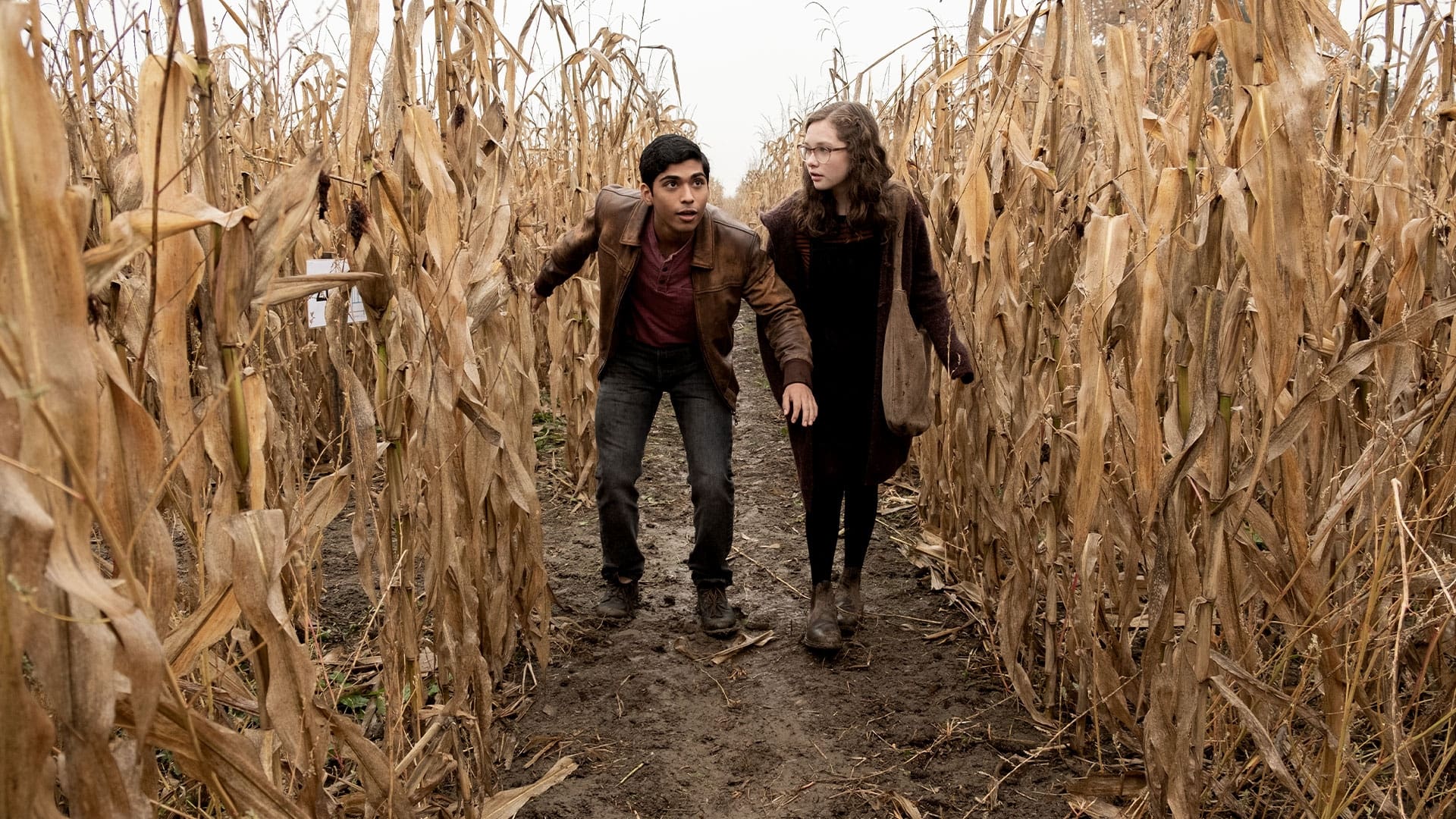Screenshot from the film Scary Stories to Tell in the Dark. Two young teens explore a corn field.