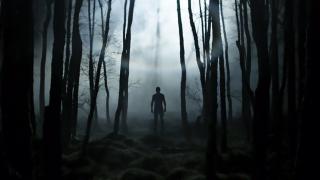 A shadowy figure lurks in the woods of Without Name