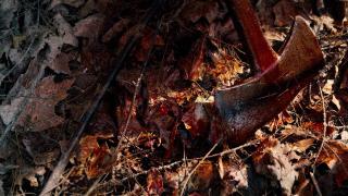 Hatchet 2