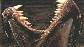 Tremors