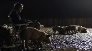 Upstream Color